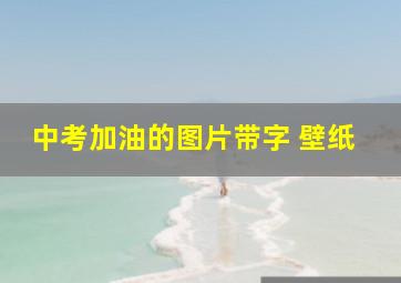 中考加油的图片带字 壁纸